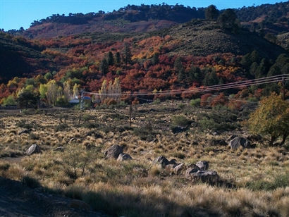 Turismo en America Latina - Villa Pehuenia